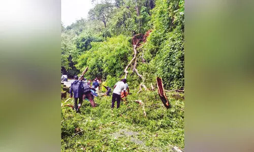 നെ​ല്ലി​യാ​മ്പ​തി​യി​ൽ വി​നോ​ദ​സ​ഞ്ചാ​രി​ക​ൾ​ക്ക് നി​യ​ന്ത്ര​ണം