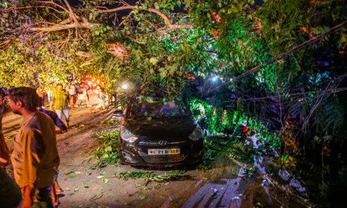 ആൽമര ശിഖരം വാഹനങ്ങൾക്ക്​ മുകളിൽ വീണ് ഒരാൾക്ക്​​ പരിക്ക്