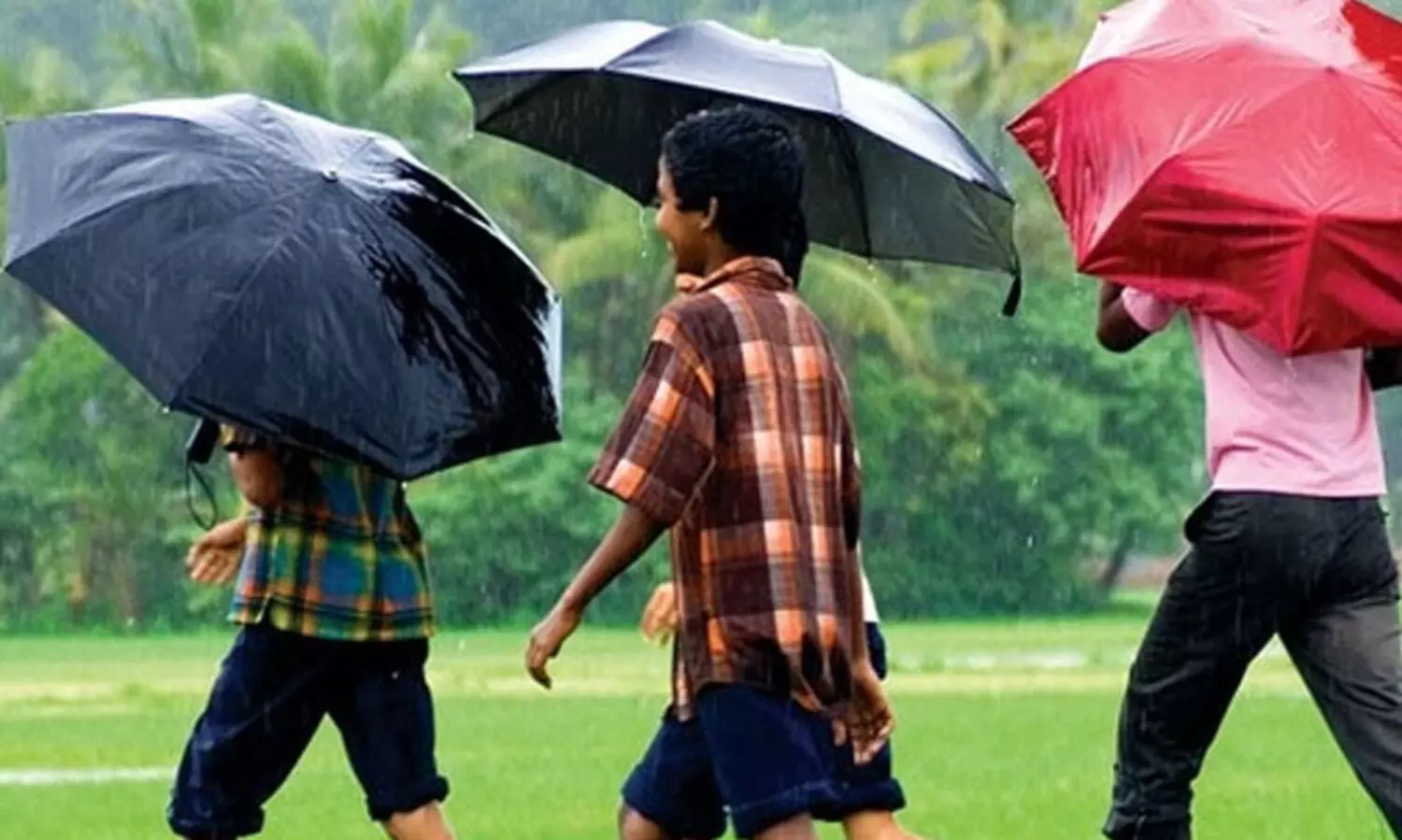 വാഹനസൗകര്യമില്ല; നാല് ആദിവാസിക്കുട്ടികൾ പഠനം നിർത്തി