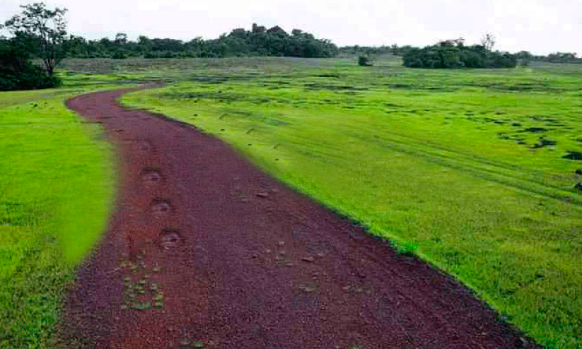 Environment Committee