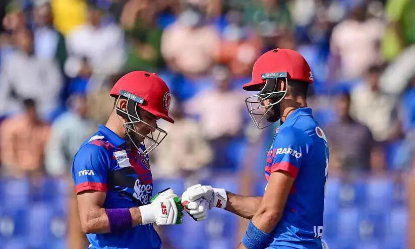 afghan cricket 7868a afghan cricket 7868a