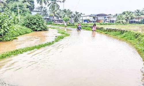 മ​ഴ പെ​യ്താ​ൽ തോ​ടാ​യി വ​ട​ക്കും​പു​റം സ്കൂ​ൾ റോ​ഡ്