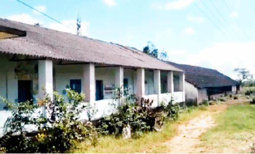 Chembra Govt.   UP school