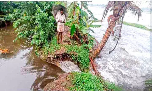 മടവീണ് പാടശേഖരം മുങ്ങി