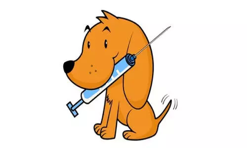 അനങ്ങാതെ തദ്ദേശ സ്ഥാപനങ്ങൾ  കോ​ട്ട​യം ജില്ലയിൽ വാക്സിനെടുത്തത്​ 1062 തെരുവുനായ്ക്കൾക്ക്​ മാത്രം