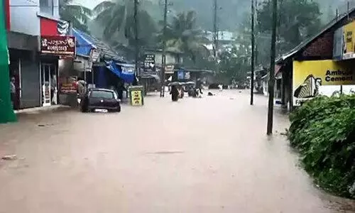 പ്രളയക്കെടുതി; ക്യാമ്പുകളില്‍ 3000 പേർ;   കൃഷിനാശം വ്യാപകം