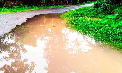 നീരൊഴുക്ക് നിലച്ചു; മുണ്ടക്കമണ്ണിൽ വെള്ളക്കെട്ട്