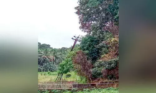 പെരുമ്പെട്ടി പാടത്ത്​ ചരിഞ്ഞ പോസ്റ്റുകൾ അപകട ഭീഷണിയാകുന്നു