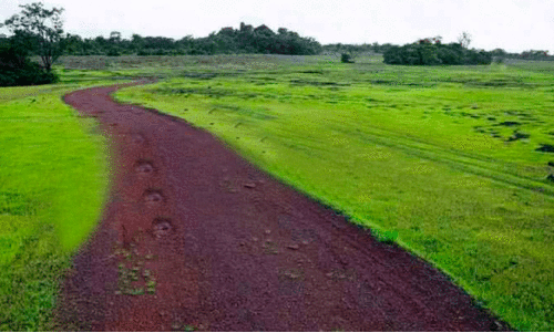 Environment Committee