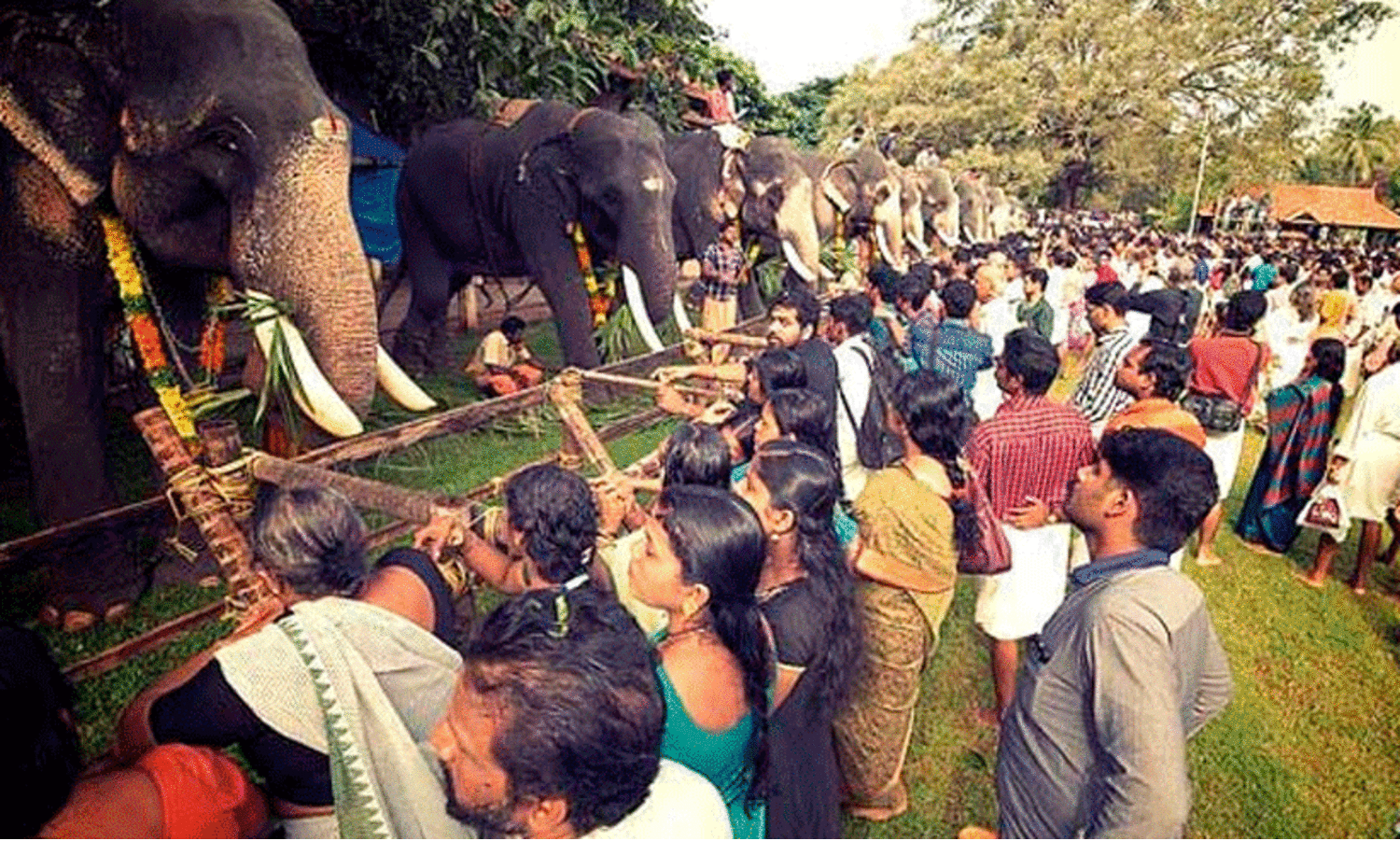 Vadakkunnathans Anayutt