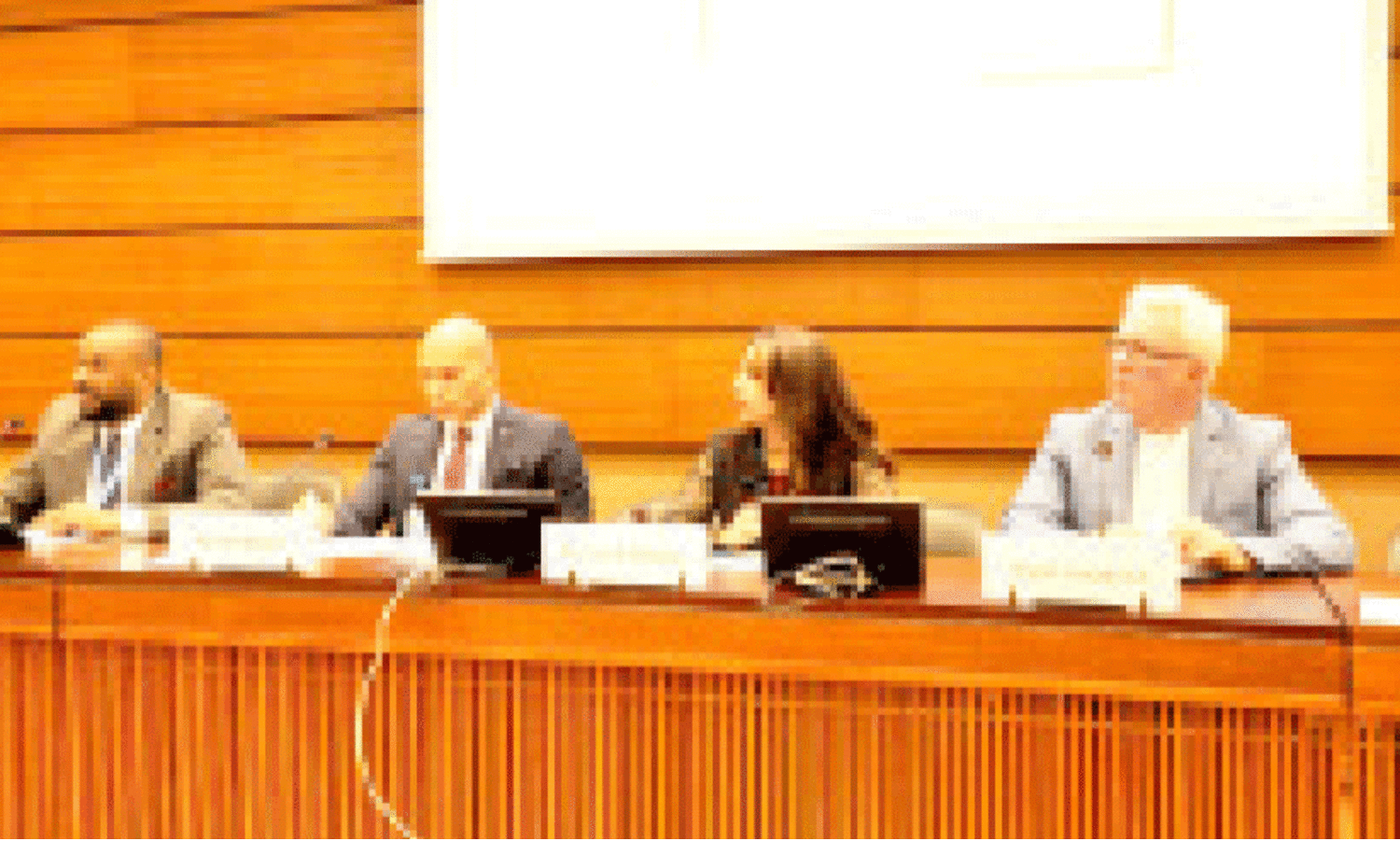 un human rights council