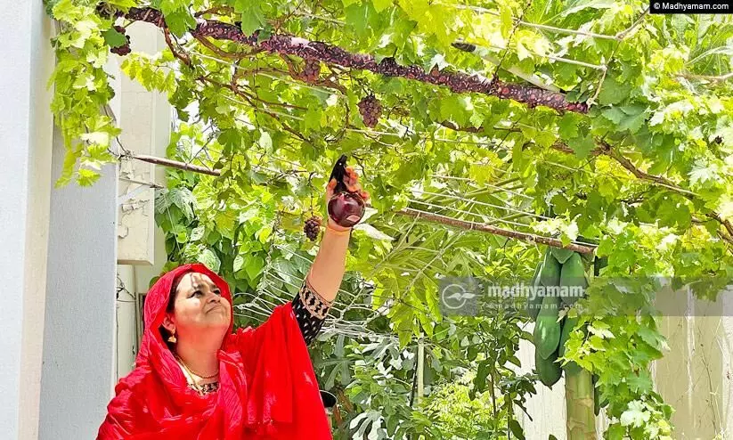 Suhara Majeed Suhara Majeed