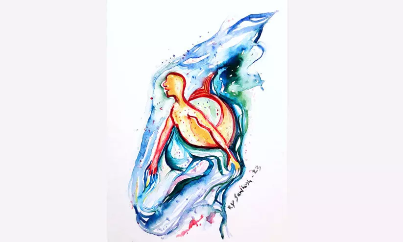 കൂനൻ തിമിംഗലങ്ങൾ കൂനൻ തിമിംഗലങ്ങൾ