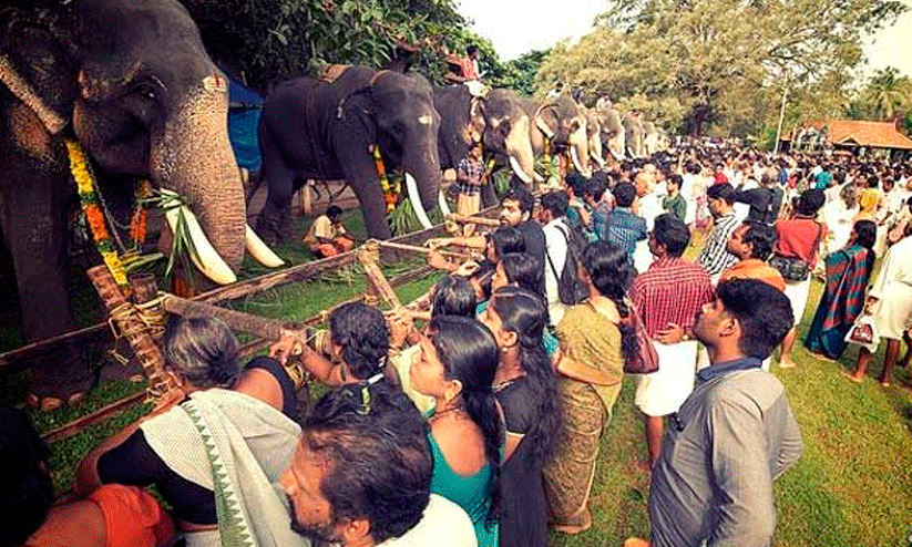 Vadakkunnathans Anayutt Vadakkunnathans Anayutt