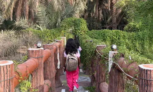 നമുക്ക് പാർക്കാൻ ഈത്തപ്പഴത്തോപ്പുകൾ