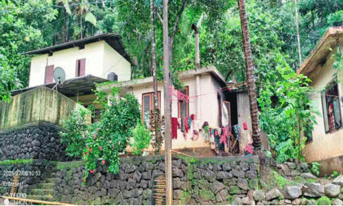 60 tribal families 60 tribal families