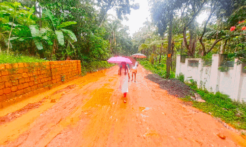 road sludge road sludge