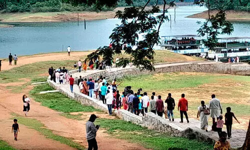 മഴ ആസ്വദിച്ച് തേക്കടിയിൽ വിനോദസഞ്ചാരികൾ