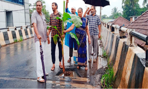 Pappinissery Flyover