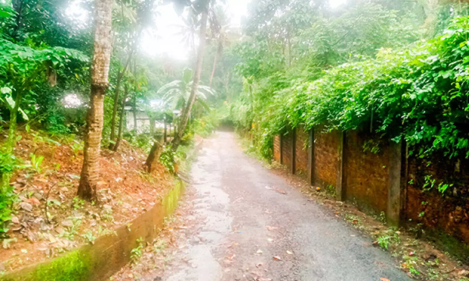 മതിലുകൾ തീർത്ത ‘തടവറ’ക്കുള്ളിൽ   44 കുടുംബം