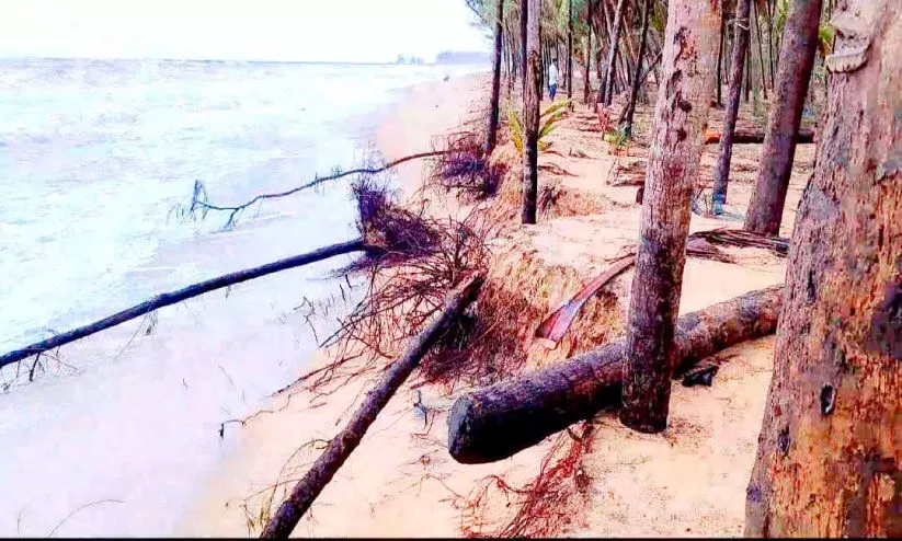 ടോപോഗ്രഫിക് സർവേയിൽ അധികൃതർ അടയിരിക്കുന്നു; തീരം കടൽ കവരുന്നു ടോപോഗ്രഫിക് സർവേയിൽ അധികൃതർ അടയിരിക്കുന്നു; തീരം കടൽ കവരുന്നു