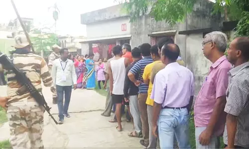 bengal repolling