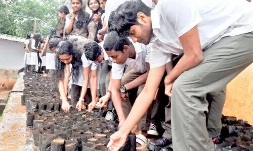 ജയശ്രീ സ്‌കൂളിന് ഇനി സ്വന്തം ഫലവൃക്ഷ നഴ്സറിയും