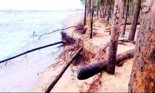 ടോപോഗ്രഫിക് സർവേയിൽ അധികൃതർ അടയിരിക്കുന്നു; തീരം കടൽ കവരുന്നു ടോപോഗ്രഫിക് സർവേയിൽ അധികൃതർ അടയിരിക്കുന്നു; തീരം കടൽ കവരുന്നു