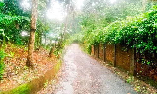 മതിലുകൾ തീർത്ത ‘തടവറ’ക്കുള്ളിൽ   44 കുടുംബം