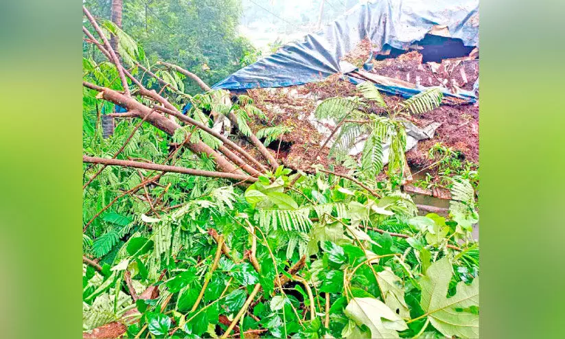 മരക്കൊമ്പ് പൊട്ടിവീണ് വീട് തകർന്നു