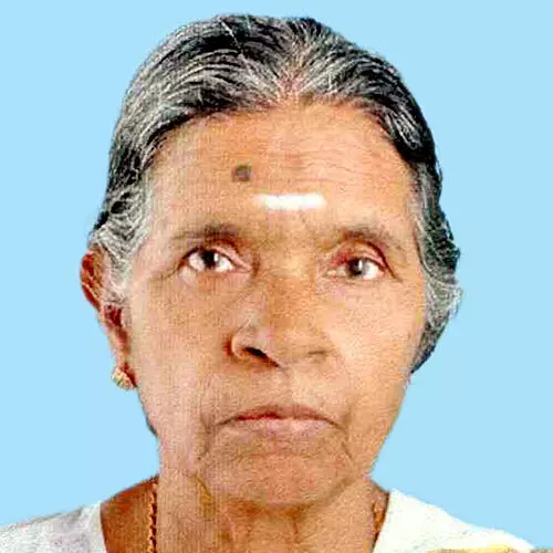 സൗദാമിനി