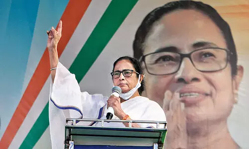 mamatha banerjee, Bengal Panchayat election results