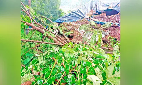 മരക്കൊമ്പ് പൊട്ടിവീണ് വീട് തകർന്നു