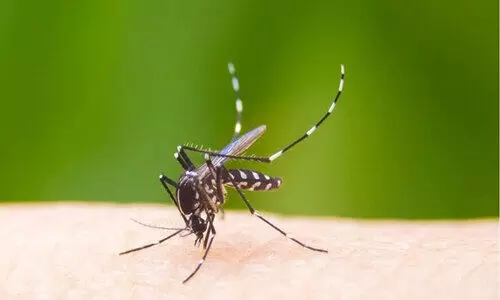 വി​ല്ല​ൻ ഡെ​ങ്കി; ഈ ​മാ​സം മ​ര​ണം മൂ​ന്ന് ഒ​മ്പ​ത് ദി​വ​സ​ത്തി​നി​ടെ ചി​കി​ത്സ തേ​ടി​യ​ത് അ​യ്യാ​യി​ര​ത്തോ​ളം പേ​ർ