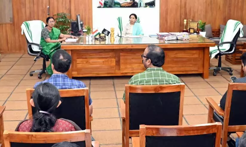 trees cutting trees cutting