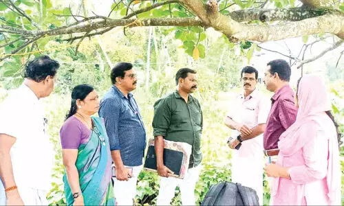 ഒ​റ്റ​പ്പാ​ലം ന​ഗ​ര​സ​ഭ കാ​ര്യാ​ല​യം മാ​റ്റൽ: സ്ഥ​ല പ​രി​ശോ​ധ​ന ന​ട​ത്തി