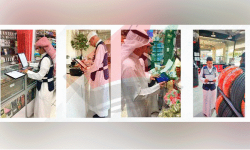 Inspection of business establishments