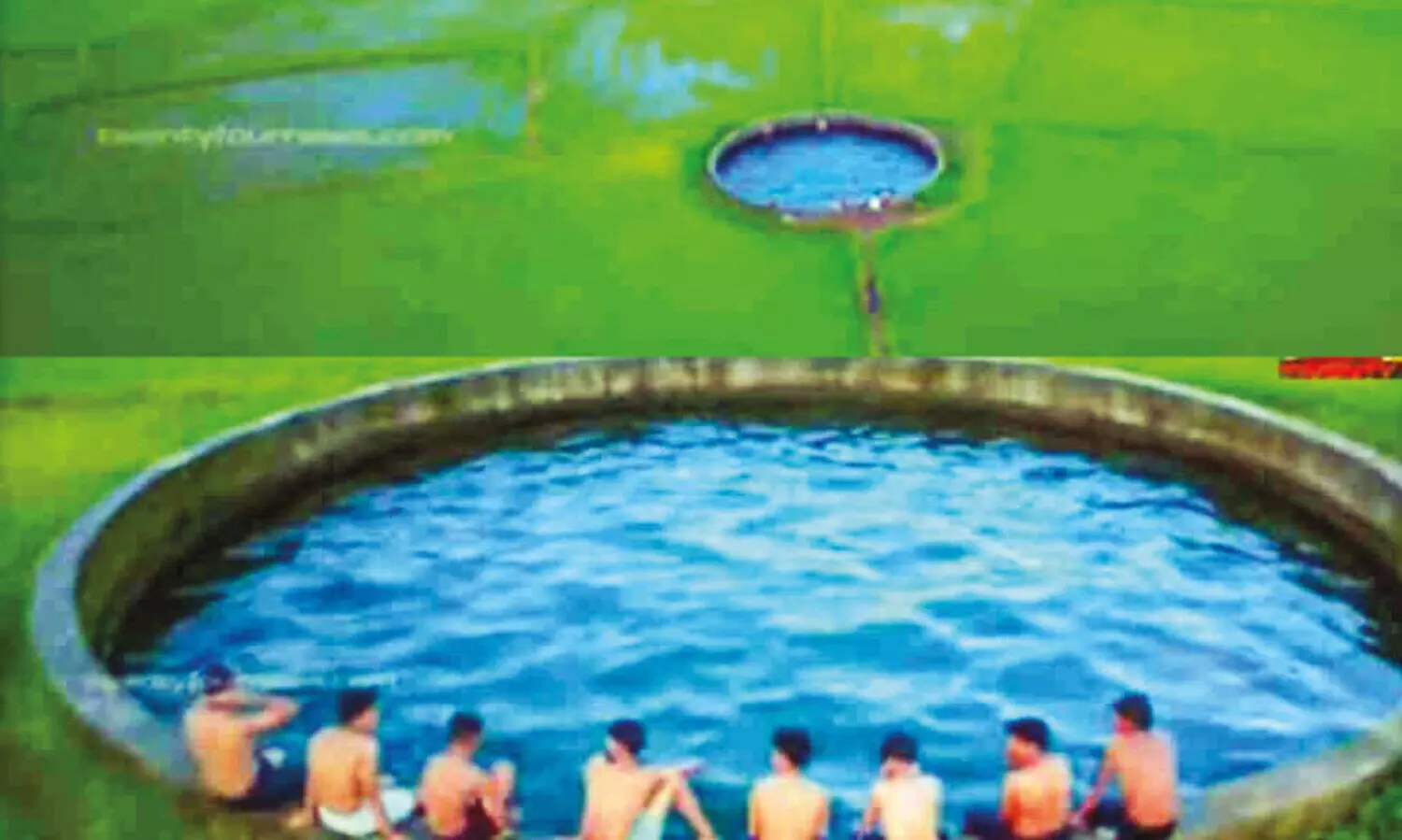 പ​ച്ച​പ്പാ​ട​ത്തി​ന് നീ​ല​പ്പൊ​ട്ടിട്ട് വ​ട്ട​ക്കി​ണ​ർ