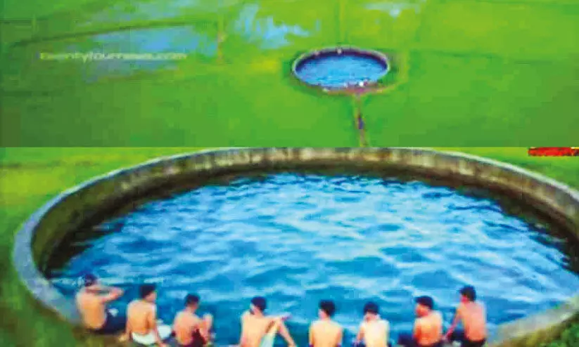 പച്ചപ്പാടത്തിന് നീലപ്പൊട്ടിട്ട് വട്ടക്കിണർ പച്ചപ്പാടത്തിന് നീലപ്പൊട്ടിട്ട് വട്ടക്കിണർ