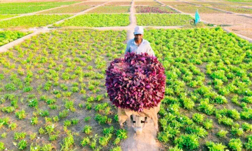 ഭക്ഷ്യസുരക്ഷയിൽ മുന്നോട്ട് ഭക്ഷ്യസുരക്ഷയിൽ മുന്നോട്ട്