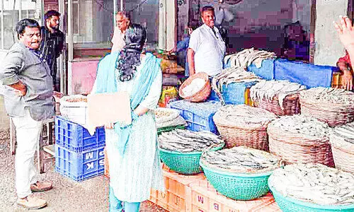 അടിമാലിയിലെ മീൻ വിൽപനശാലകളിൽ പരിശോധന​; 11 കിലോ നശിപ്പിച്ചു