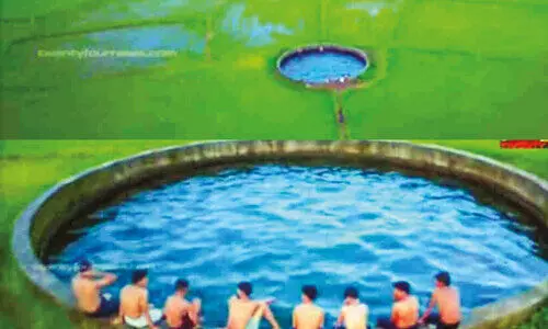 പ​ച്ച​പ്പാ​ട​ത്തി​ന് നീ​ല​പ്പൊ​ട്ടിട്ട് വ​ട്ട​ക്കി​ണ​ർ