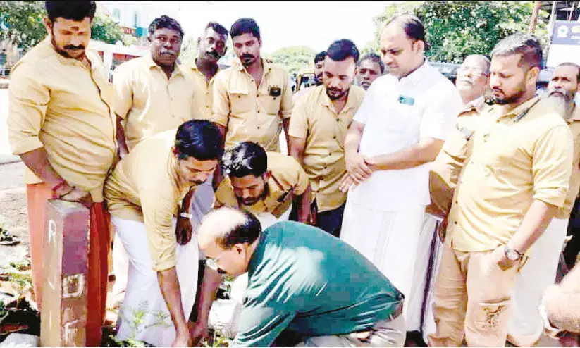 മാലിന്യത്തിന് വിട; ഈ പാതയോരത്ത് ചെണ്ടുമല്ലി വിരിയും മാലിന്യത്തിന് വിട; ഈ പാതയോരത്ത് ചെണ്ടുമല്ലി വിരിയും