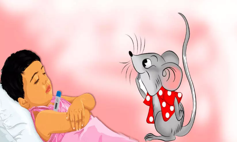 എലിപ്പനി; ജാഗ്രത വേണം എലിപ്പനി; ജാഗ്രത വേണം