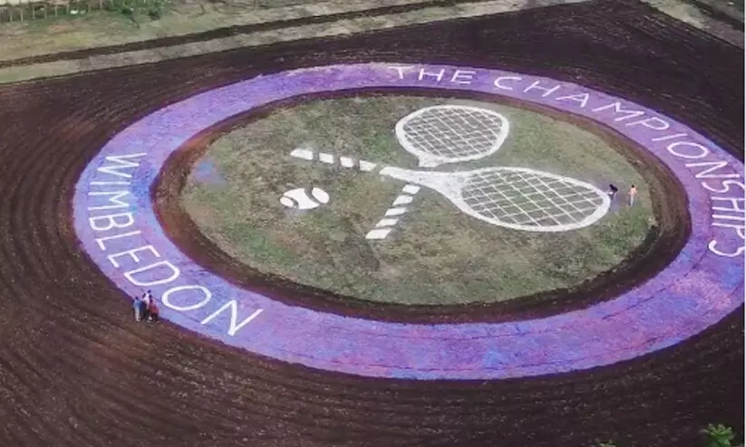 wimbledon 6776554 wimbledon 6776554