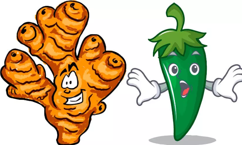 ഇഞ്ചിക്ക്​ ട്രിപ്പിൾ, പച്ചമുളകിന്​ സെഞ്ച്വറി