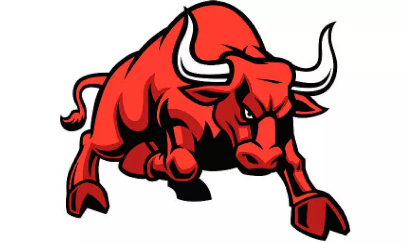 ക​ശാ​പ്പി​നാ​യി എ​ത്തി​ച്ച കാ​ള ഇ​ട​ഞ്ഞു; ​ അ​ഞ്ചു​പേ​ർ​ക്ക് പ​രി​ക്ക്