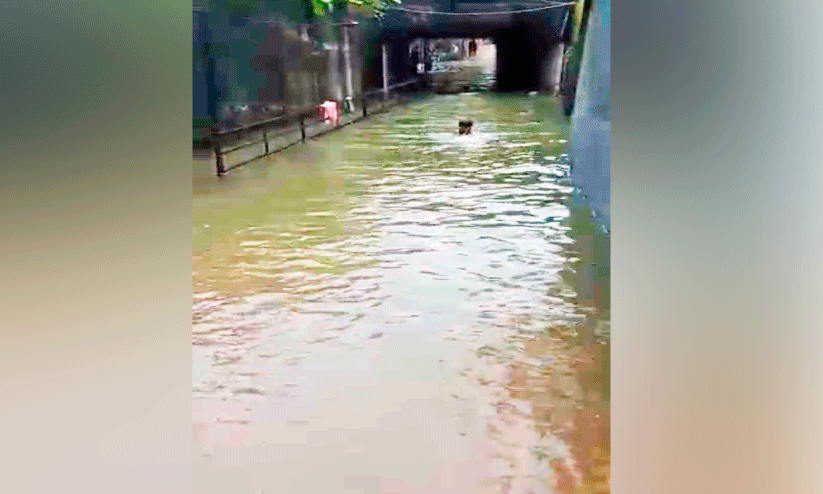 Waterlogging Waterlogging