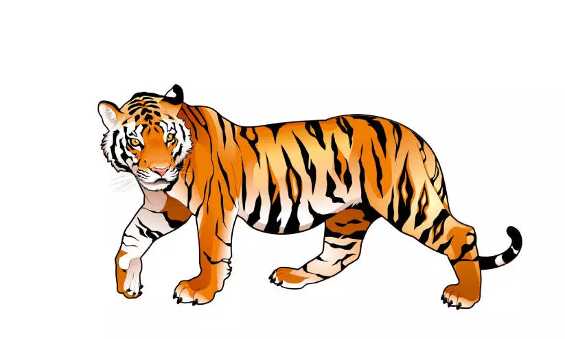 അതുമ്പുംകുളത്ത് ആടിനെ കടുവ കൊന്നു അതുമ്പുംകുളത്ത് ആടിനെ കടുവ കൊന്നു