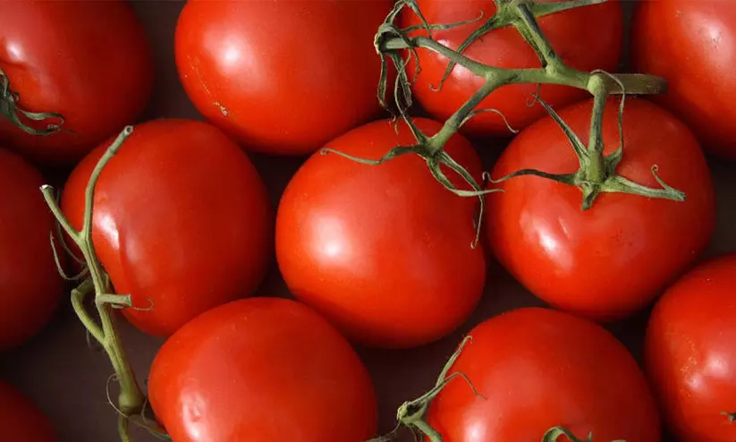 എല്ലാ സ്തുതിയും തക്കാളിക്ക് ; തക്കാളി വിറ്റ് ഒരു മാസം കൊണ്ട് കോടീശ്വരനായി കർഷകൻ